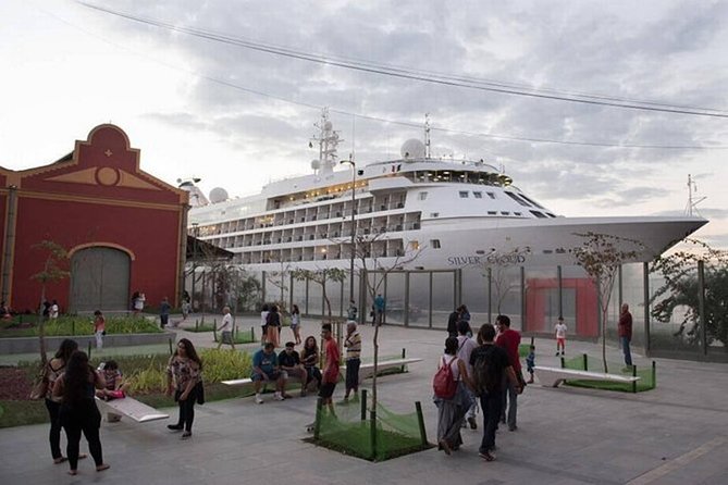 Private One Way Transfer - Rio Airports or Cruise Terminal - Accessibility and Additional Services