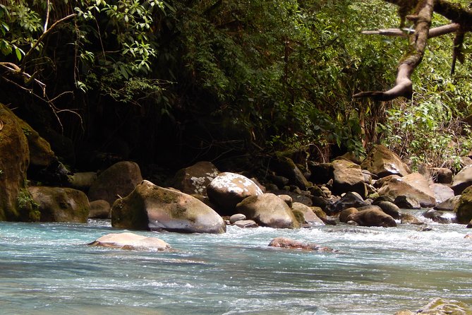 Private Path to Swimming in the Blue Water. - Wildlife and Scenic Views