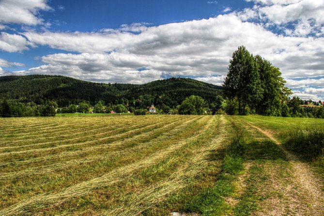 Private Prague to Vienna Luxury Transfer - Vehicle and Amenities Included