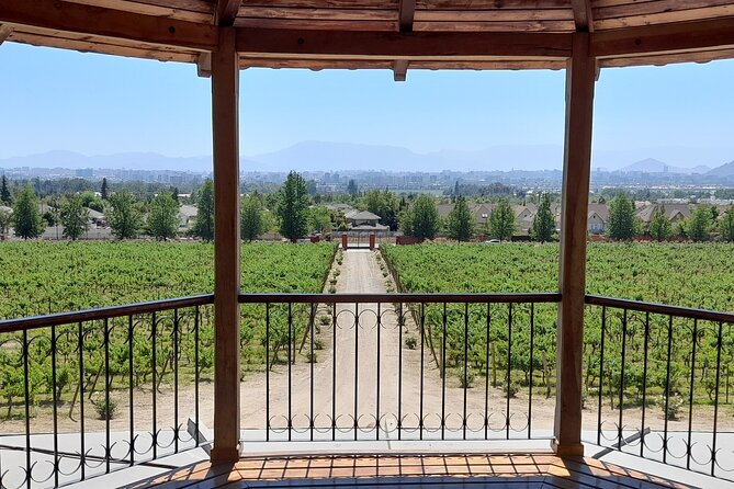 Private Pre/Post Cruise Tour Valparaiso & Casablanca Wine Valley - Tour Experience Highlights