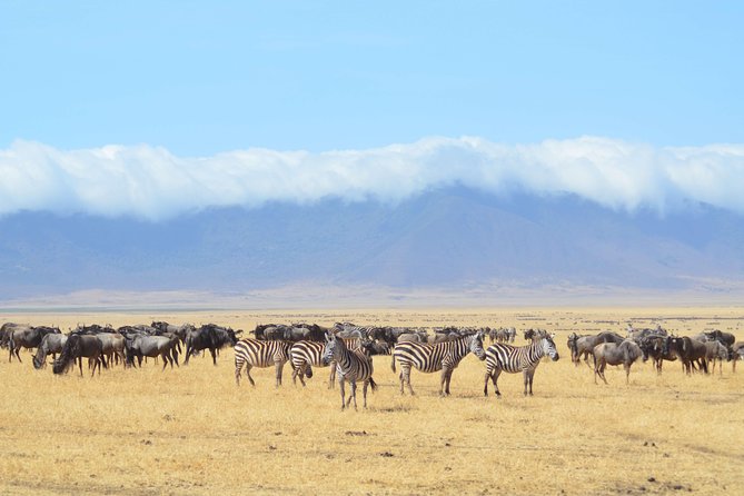 Private Safari for Couples | 5 Day - Itinerary Highlights