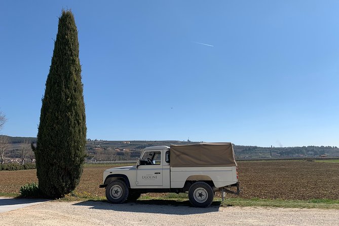 Private Scenic Transfer From Venice to Florence - Vehicle and Amenities Provided