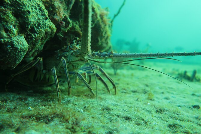 Private Scuba Diving Expert-Led Excursion Training With Tour - Location Details