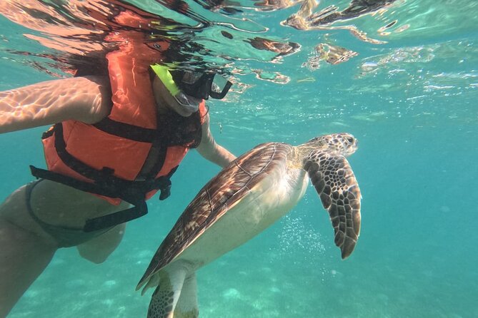 Private Snorkeling With Sea Turtles in Akumal Beach - Accessibility and Booking
