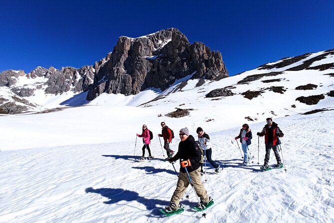 Private Snowshoe Route in Cantabria, Picos De Europa - Whats Included in the Tour