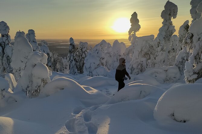 Private Snowshoeing in Levi - Cancellation Policy