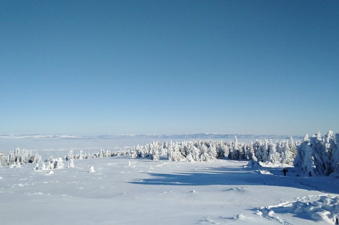 Private Snowshoeing Vitosha for 1 Day - What to Expect