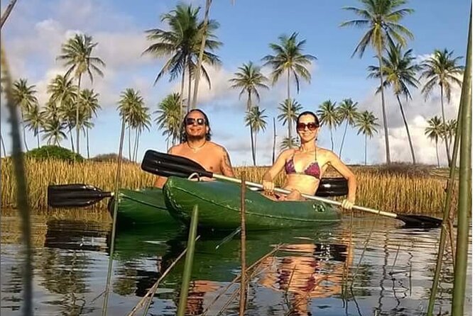 Private Stand Up Paddle and Kayak Tour on the Imbassaí River - Meeting Point and Pickup
