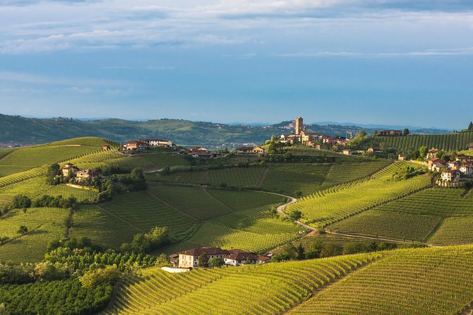 Private Tour: Barolo Wine Tasting in Langhe Area From Torino - Tour Duration and Pickup Location