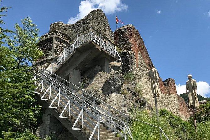 Private Tour From Bucharest to Transfagarasan Road Poenari Castle Vidraru Dam - Inclusions