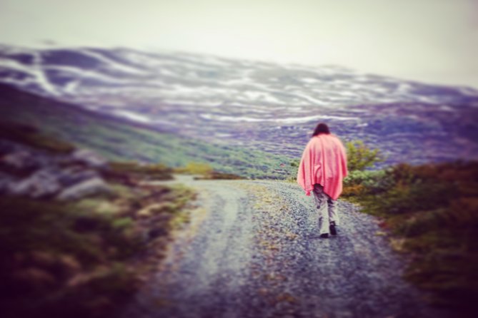 Private Tour Geiranger and Glaciers 1 to 15 People - Inclusions of the Tour