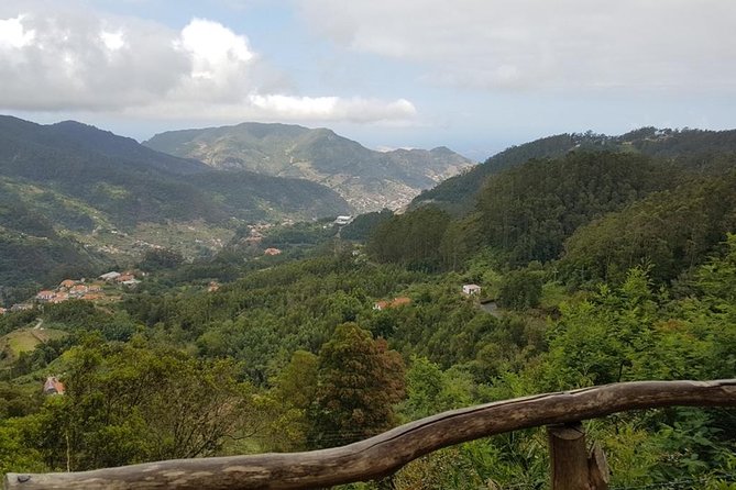 Private Tour Halfday Mini-Zoo Santo Da Serra Park - Highlights of the Mini-Zoo