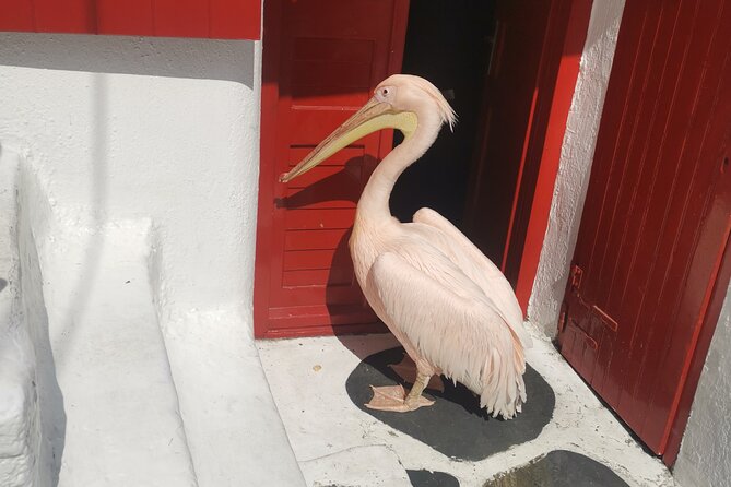 Private Tour in Mykonos With Local Guide and Range Rover - Meeting and Pickup