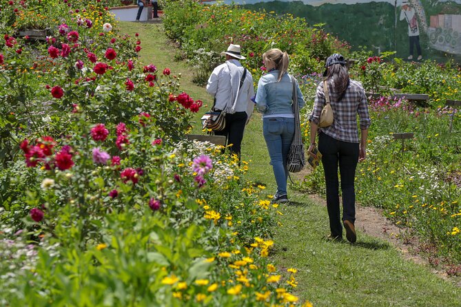 Private Tour: Medellins Flower Culture & the Silletero Tradition of Santa Elena - Pickup and Transportation