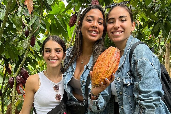 Private Tour of CACAO Chocolate Plantation and Processing - Cacao Harvesting and Processing
