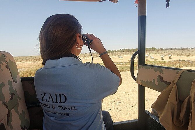 Private Tour of Desert Castles Eastern Jordan With Optional Azraq Wetland Visit - Castles Youll Explore