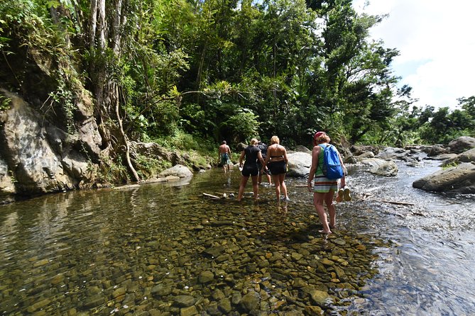 Private Tour of El Yunque Rainforest From San Juan - Tour Activities and Inclusions