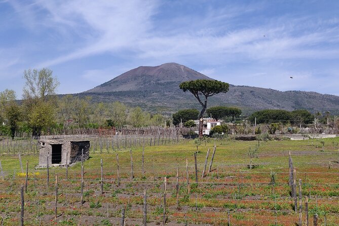 Private Tour Pompeii and Herculaneum - Tour Details