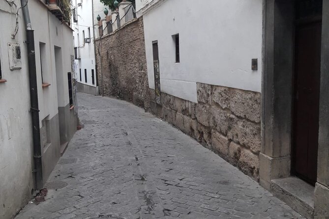 Private Tour Roman Granada (Florentia) - Cultural Experiences