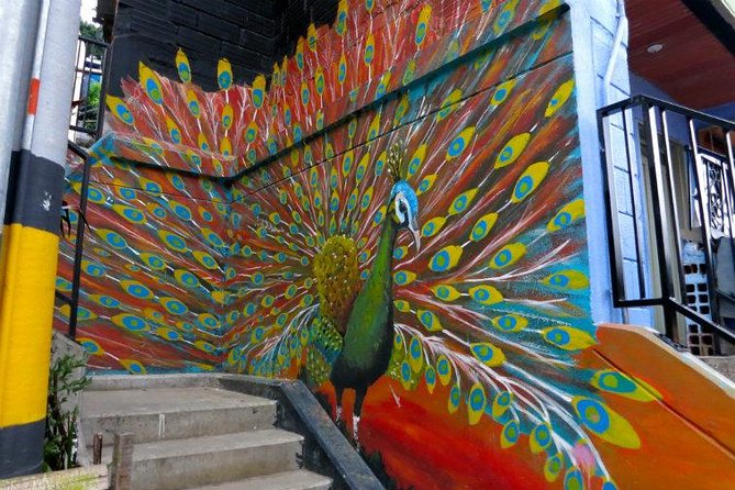 Private Tour: Street Art in Medellín - Urban Art & Cultural Identity - Local Guidance and Cultural Insight