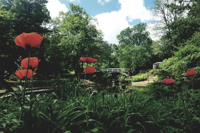 Private Tour the Montreal Garden From Kingstown - Tour Guide and Inclusions