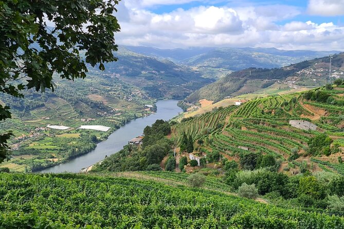 Private Tour Through the Douro Valley (Wineries Boat) - Flexible Itinerary and Scenic Winery Visits
