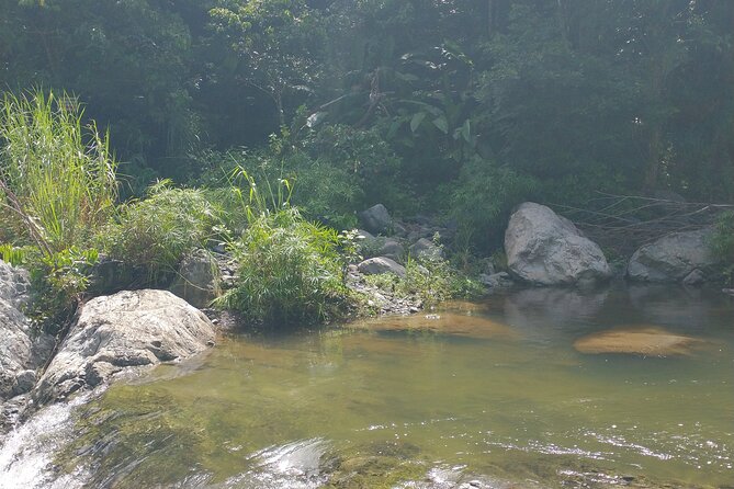 Private Tour to Pristine Swimming Hole In Puerto Rico Jungle - Meeting and Pickup