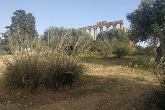 Private Tour to Segesta, Erice With Wine Tastings in Marsala - Inclusions and Exclusions