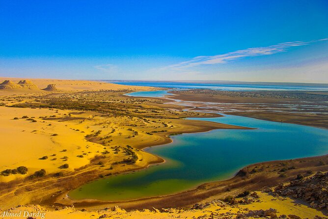 Private Tour to Whales Valley & Wadi El Rayan Waterfalls in El Fayoum From Cairo - Included Amenities