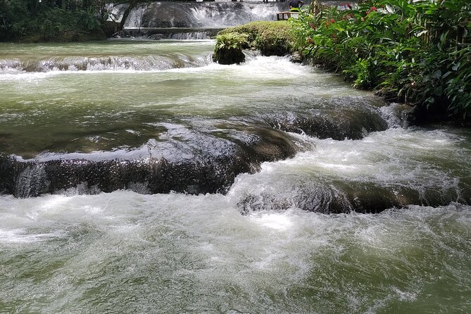 Private Tour to YS Falls, Appleton Rum Tour and Pelican Bar From Montego Bay - Health and Accessibility
