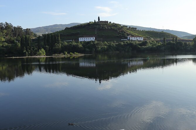Private Tour With 3 Wineries and Viewpoint - Viewpoint Experience
