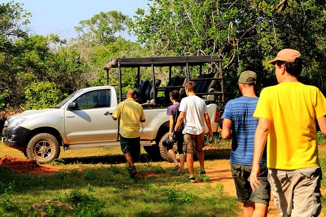 Private Tour : YALA National Park With Experienced Driver/Guide - Safari Tour Options