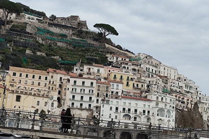 Private Transfer From Amalfi to Sorrento - Vehicle and Amenities