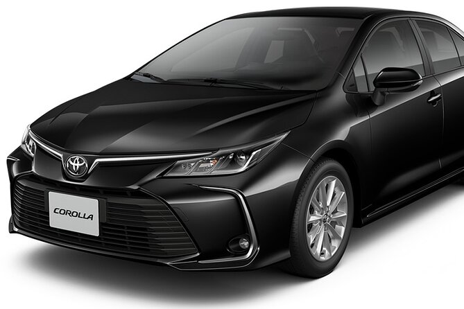 Private Transfer From Atocha Station to Madrid City Center - Transportation and Accessibility