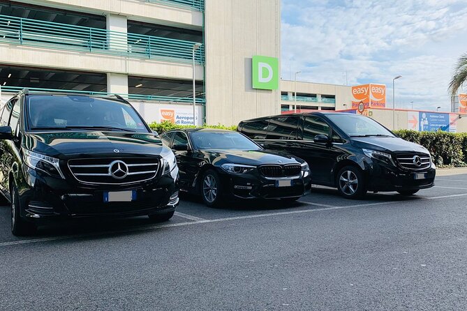 Private Transfer From HAMburg to HAMburg Airport HAM Departure - Accessibility and Participation