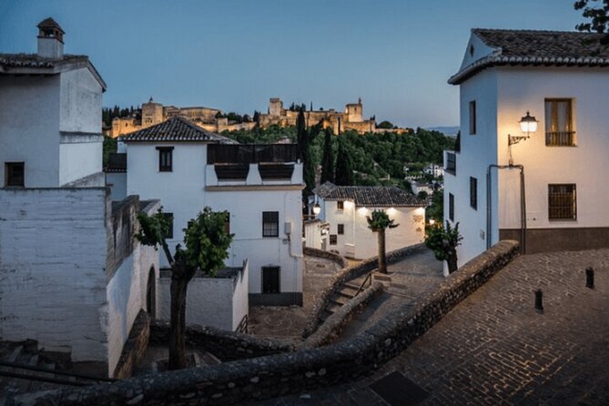 Private Transfer From Málaga Hotels to Granada - Vehicle and Accessibility