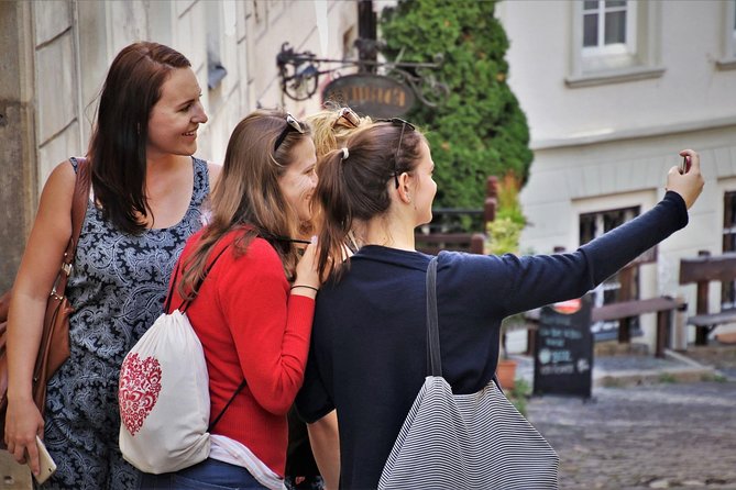 Private Transfer From Munich to Vienna With 2-Hour Sightseeing Stop in Hallstatt - Hallstatt Sightseeing Stop