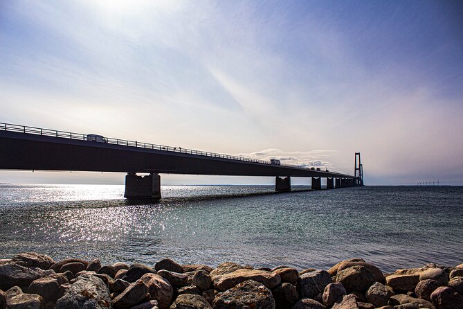 Private Transfer From Ribe to Copenhagen With a 2 Hour Stop - Vehicle and Amenities