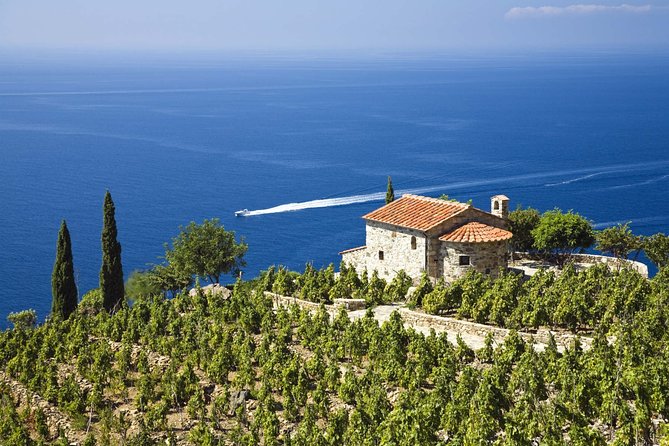 Private Transfer From Santandrea to Marina Di Campo (Eba) Airport - Inclusions and Fees
