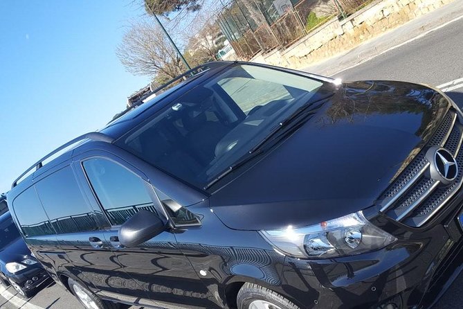 Private Transfer From Sorrento to Matera or Back - Accessibility and Participation