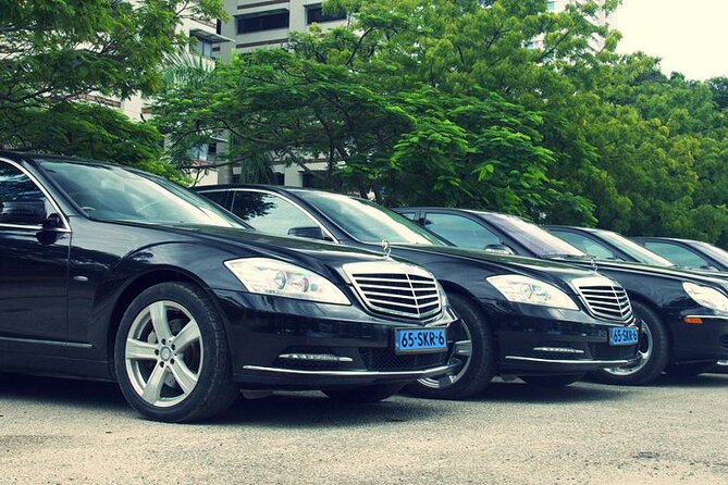Private Transfer From the Hague City to Schiphol Airport - Meeting and Pickup Arrangements