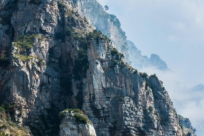 Private Transfer Sorrento to Amalfi With 2h of Sightseeing - Driver and Vehicle Details