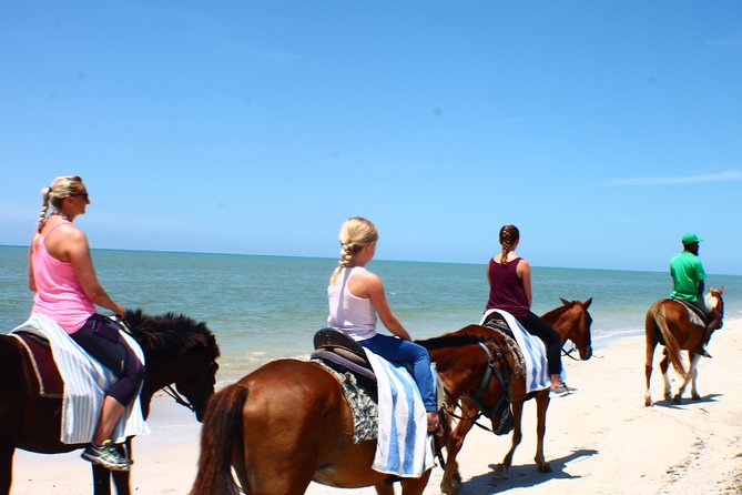 Private Transfer to Beach Horse Back Ride and Swim - Booking Information