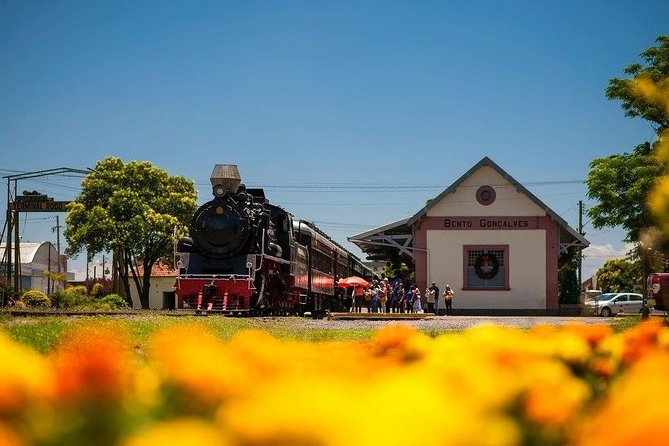 Private Transfer to Maria Fumaça Railway Station and Italian Epic - Inclusions and Amenities