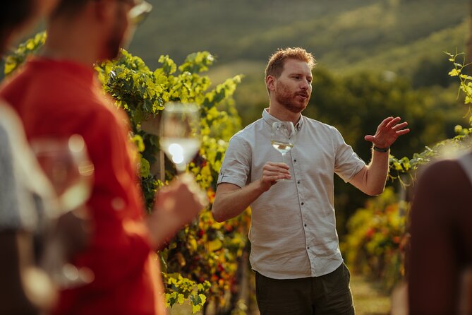 Private Transfers to Wineries in Lujan and Maipú - Pickup and Transportation