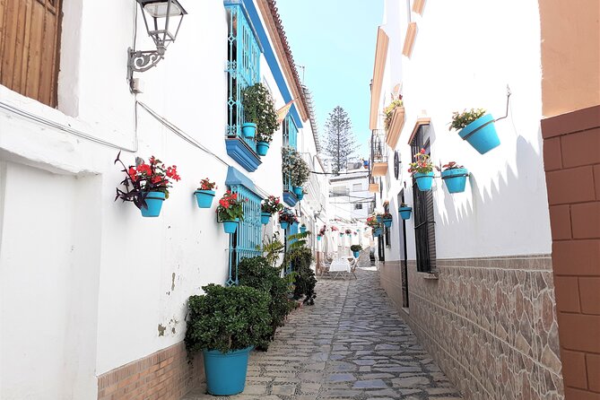 Private Trip in Gibraltar and Estepona From Marbella - Getting Answers to Your Questions