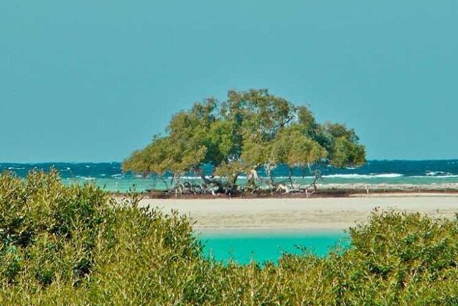 Private Trip to Sharm El Lulli and Wadi El Qulaan From Marsa Alam - Included Services