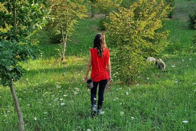 Private Truffle Hunting With Tasting : Become a Truffle Hunter Foa a Day! - Tour Logistics