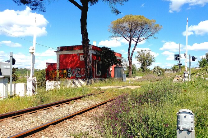 Private Tuk Tuk Tour of the Millenary Olive Groves in Ostuni - Tour Features