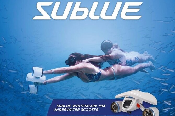 Private Turtle Spotting Snorkeling Excursion in Aruba - Meeting and Pickup Information